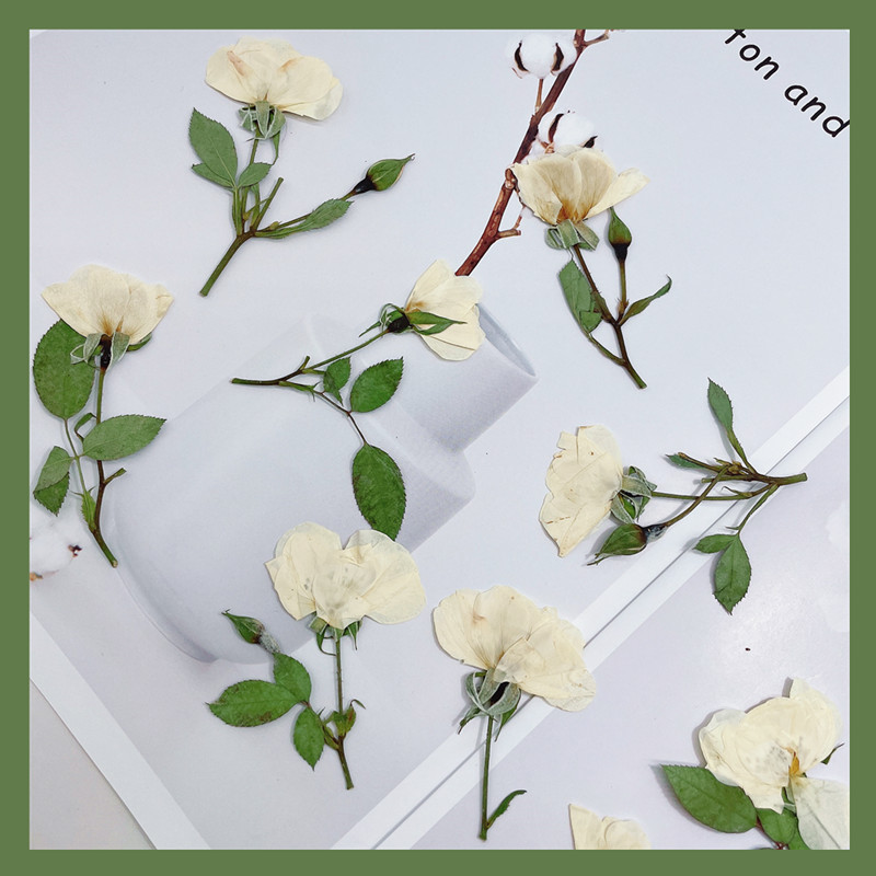 Wedding Card Box - 12 ชิ้น กิ่งกุหลาบสีขาว ชมพู แดง ธรรมชาติ